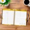 Crackled Blush | 2027 6 x 7.75 Inch 18 Months Weekly Desk Planner | Foil Stamped Cover | July 2026 - December 2027 | Plato | Planning Stationery